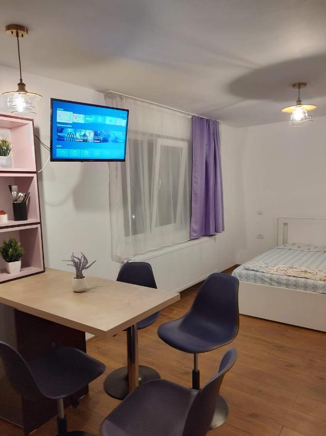 Garsoniera Dania&Petru 1 Daire Tîrgu Ocna Dış mekan fotoğraf