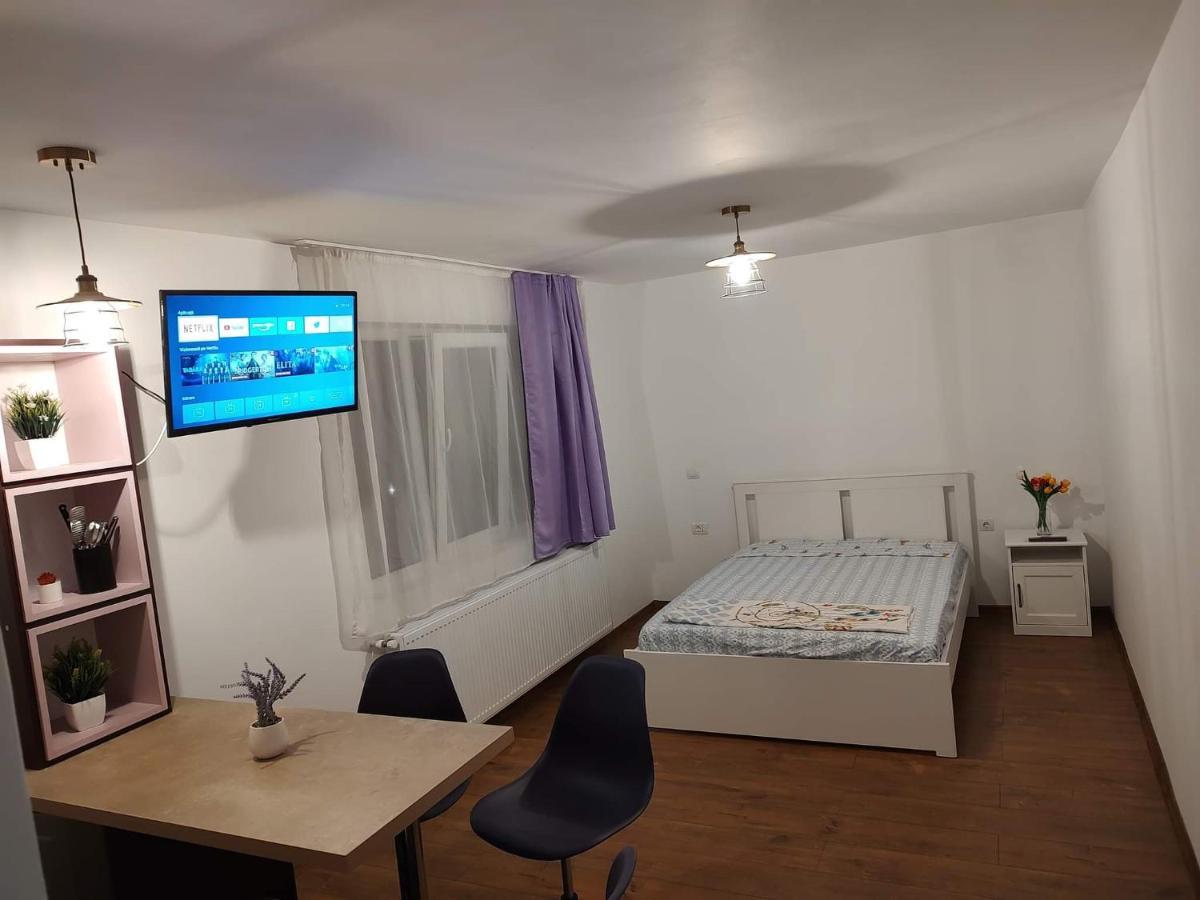 Garsoniera Dania&Petru 1 Daire Tîrgu Ocna Dış mekan fotoğraf